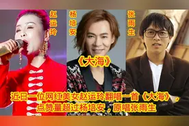 网红美女赵玉玲翻唱一首《大海》，点赞量超过杨培安，原唱张雨生