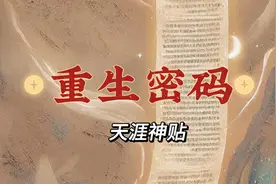 重生密码视频封面