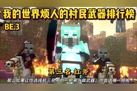 我的世界烦人的村民魔法武器排行榜第三名.红斧!