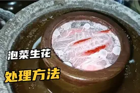 泡菜生花怎么处理？川妹子教你2步轻松搞定！视频封面