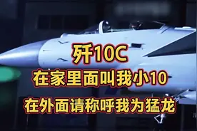歼10C，在家里叫我小10，在外面请称呼我为猛龙视频封面