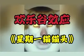 网络古怪视频：星期一猫猫头