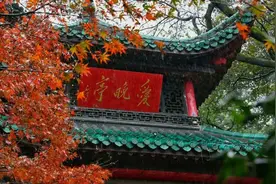 集体冲“万亿”，中部省份急什么？视频封面