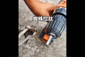 #蜘蛛  用电钻测试蜘蛛到底能拉多少丝？视频封面