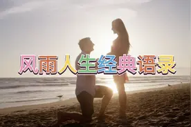 风雨人生经典语录完整版视频封面