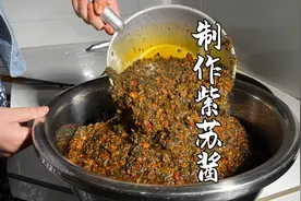 农村常见的野草浑身是宝，大厨中医都爱它，做成紫苏酱可以吃一年视频封面