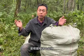 兄弟们的工资怎么计算的，每天能赚多少钱？本期视频讲解！视频封面