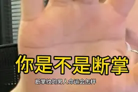 断掌纹视频封面