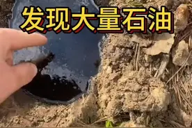 国外小哥发现石油，来看看他的正确处理方式  #石油  #