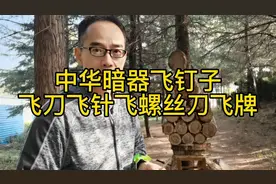 中华传统武术暗器飞钉方法训练