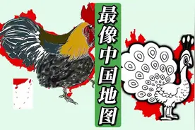 哪个省份的地图最像中国地图，山东、云南还是湖北