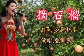 民歌天后张燕演唱安徽民歌《摘石榴》旋律优美，歌声委婉动听