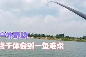 夏季大风天户外野钓，找鱼诱鱼是关键，并不是一味钓深水视频封面