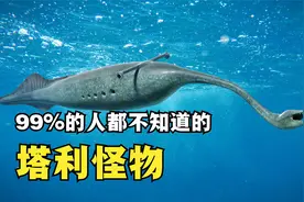 古生物三大妖孽之一的塔利怪物是什么？