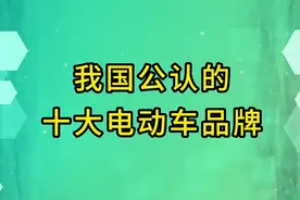 我国公认的十大电动车品牌视频封面