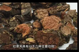 红景天的功效