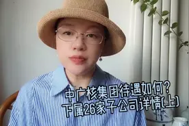 中广核集团薪资待遇？下属26家子公司详情，哪家公司最好？(上)视频封面