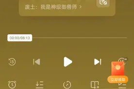 无背景音乐小说（番茄小说）