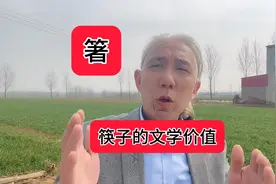 箸，一双筷子的文学价值视频封面