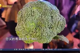 台食药单位放宽农药残留容许量，准备放日本草莓进岛？视频封面