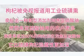 枸杞不止用工业硫磺熏，还用作用相同的焦亚硫酸钠浸泡！你知道吗视频封面