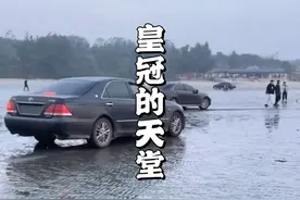 北部湾转防城港，无牌皇冠闭眼闯。#皇冠的天堂 #防城港皇冠车视频封面