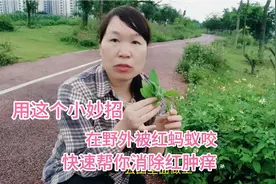 在野外被红蚂蚁咬,用这个小妙招,能快速帮你消除红肿痒