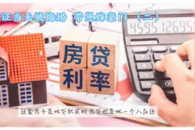 领证当天被悔婚  带崽嫁豪门（二）视频封面