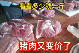 猪肉又变价了！9月11号看看多少钱一斤，你觉得贵还是便宜？