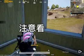 SZ外挂