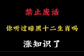 你听说过暗黑十二生肖吗，你知道它们的生存法则吗，真的涨知识了视频封面