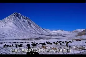 西藏全国率先实行十五年义务教育视频封面