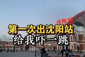 第一次出沈阳站就给我吓一跳，为什么漫天乌鸦，那么多乌鸦？