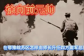 徐向前在鄂豫皖苏区怎样由师长升任四方面军总指挥的？