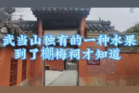 武当山独有的一种水果，朱棣皇帝因为它才下令大修武当山。