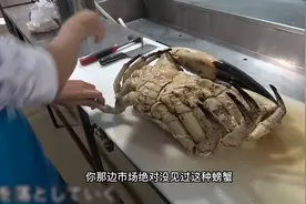 刚捕捞上来的招潮蟹，立马卸下蟹腿，不对称的蟹钳无与伦比鲜甜