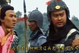 《杨家将》杨宗保援偏关被辽军困于柳树湾，杨宗英单枪匹马闯重围视频封面