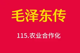115.农业合作化视频封面