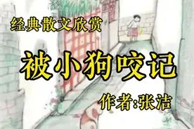 《被小狗咬记》，作者，张洁