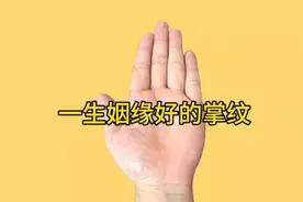 一生姻缘好的掌纹视频封面