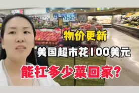 在美国，华人去本地超市花100美刀，买了3天菜，有你想象的多吗？视频封面