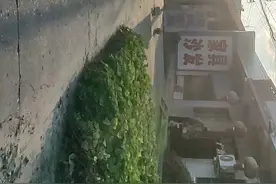 扬州江都谢桥老街实拍视频封面