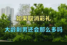 如果取消彩礼，大龄剩男还会那么多吗视频封面