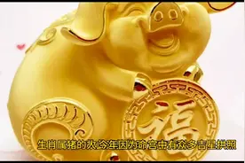 解密:2024年十二生俏属猪的运程（4）