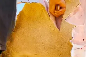 骆驼驼峰肉非常好吃