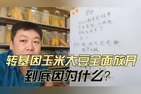 2024年转基因玉米大豆全面放开，到底为什么？全球农业竞争开始。视频封面