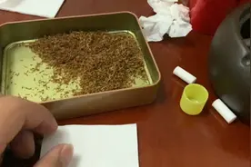 用白酒和蜂蜜调过味的烟丝，抽的有一股米酒味手卷入坑第14天