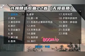 许巍精选歌曲22首超好听