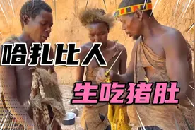 哈扎比人吃起疣猪来有多野蛮，新鲜猪肚不清理就往嘴里塞