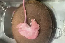 洗猪肚完整整的过程，用盐，淀粉把里面的粘液洗干净就可以了视频封面